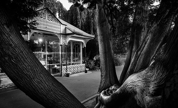DSC06165Crop MONO