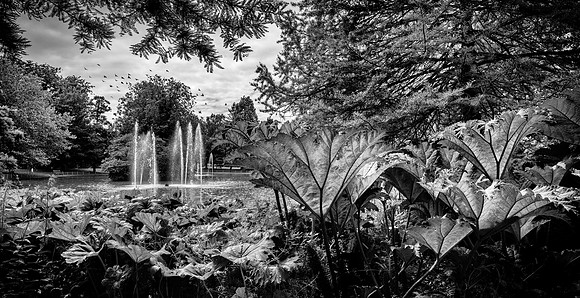 Fountain