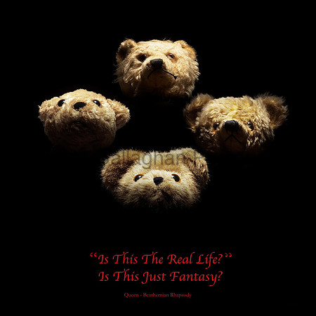 Bearhemian Rhapsody