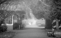 DSC04180C