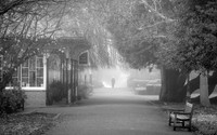 DSC04180C