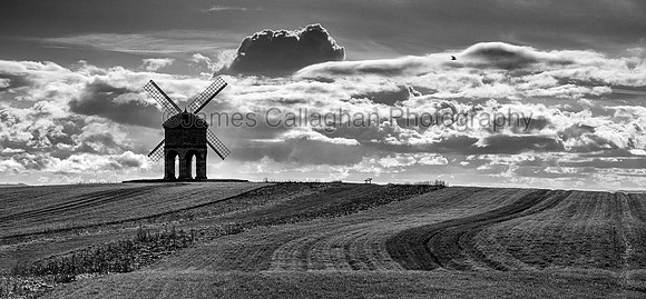 DSC00308crop