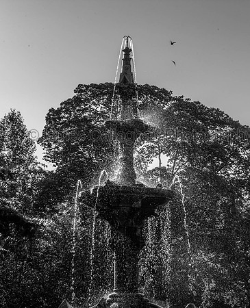 _MGL5274