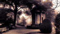 012A6582 Toned_1