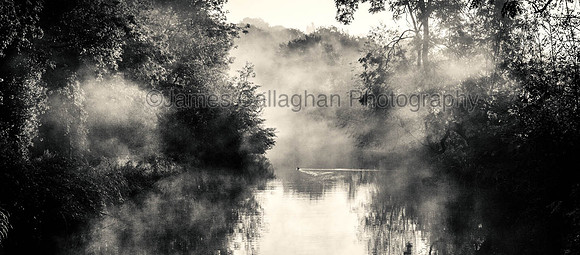 _MG_9644mono crop