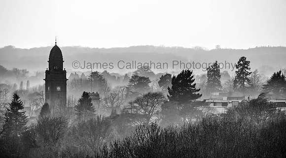 DSC00627Crop2
