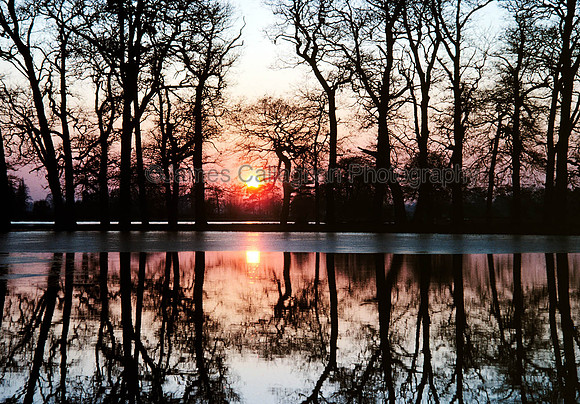 Sunset Charlecote