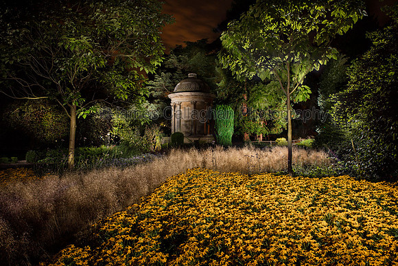 Temple and Yellow Flowers