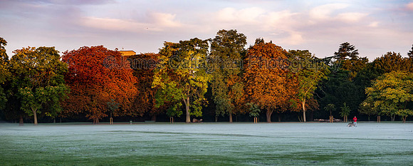 _MG_9589-Pano