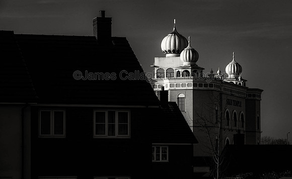 DSC09951