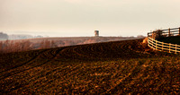 3H9A9142crop