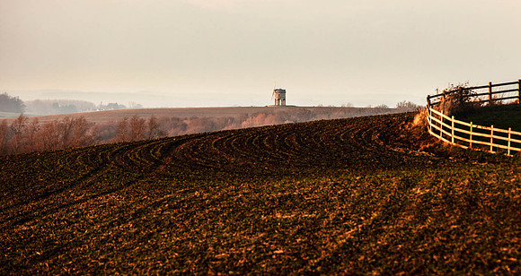 3H9A9142crop