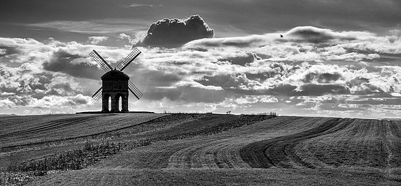 DSC00308crop