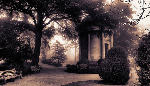 012A6582 Toned_1