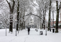 Linden Snow