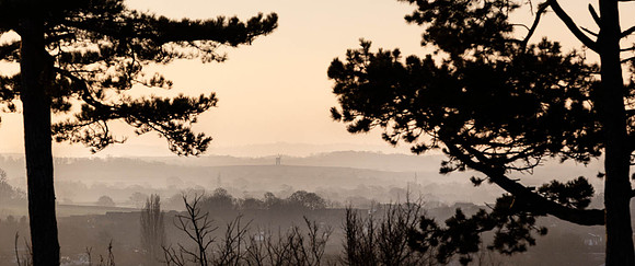 3H9A9048 Crop