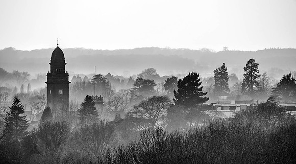 DSC00627Crop2