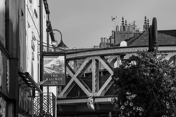 _MG_9829