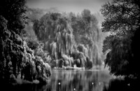 Willow in Jephson Gardens2